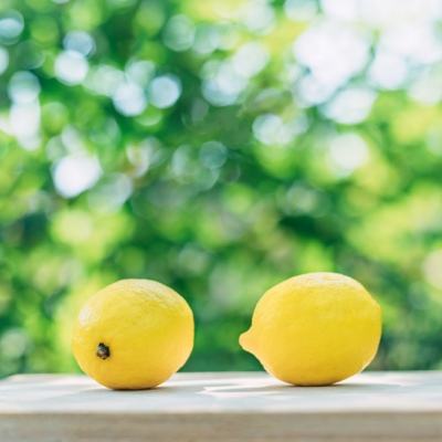 蜀山萌仙录内购破解版下载