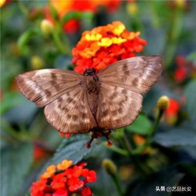 百度平台全民挂机下载