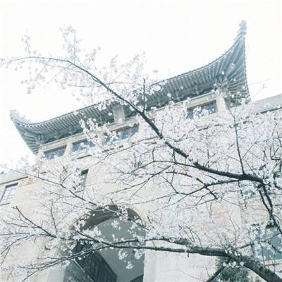 小小三国志h5变态版下载