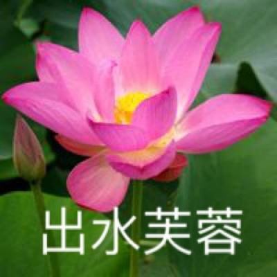 屠鲲传世变态版下载