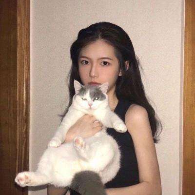 独孤一剑官方版下载